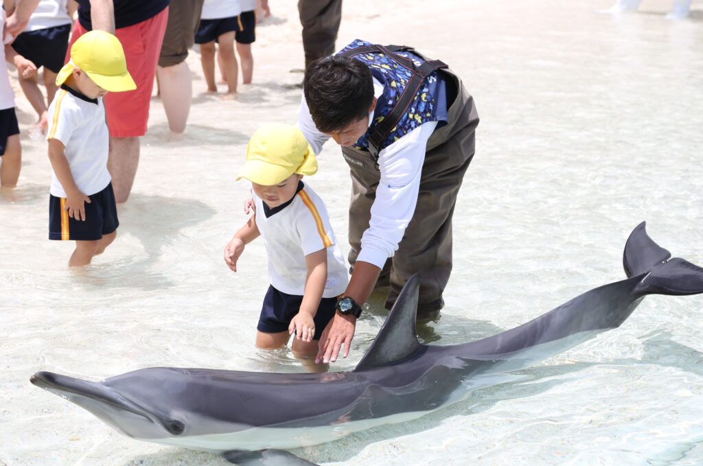 大分市のプリスクール遠足で海の生き物に触れながら英語を学ぶ子どもたち