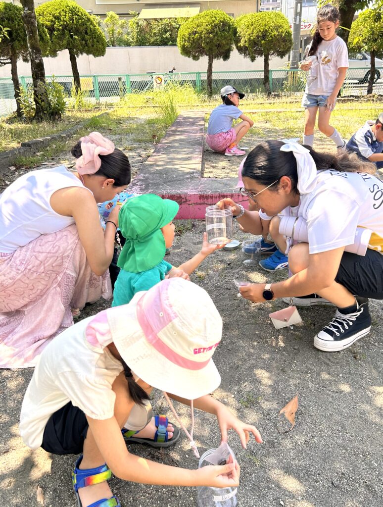 キンダーコースで自然体験を楽しむ園児たち
